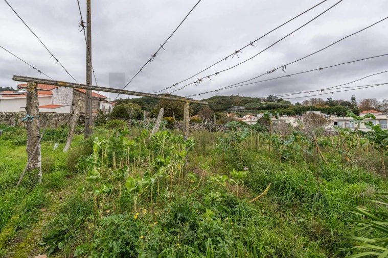 Moradia T2 para Venda em Vila Praia de Ancora Foto 14