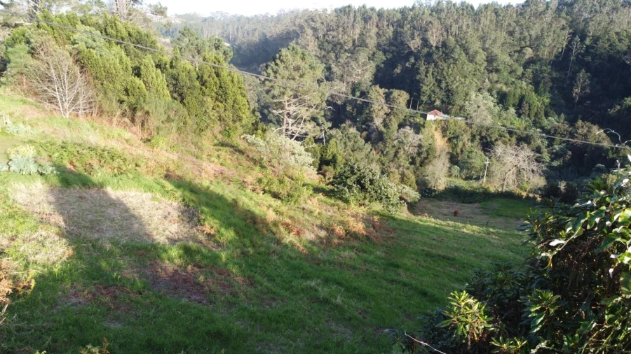 Terreno para Venda em Arco de São Jorge Foto 9