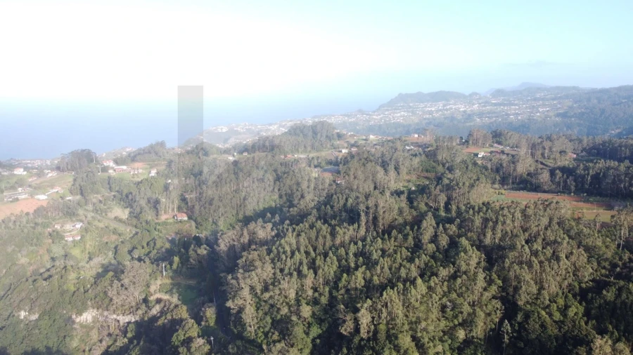 Terreno para Venda em Arco de São Jorge Foto 17