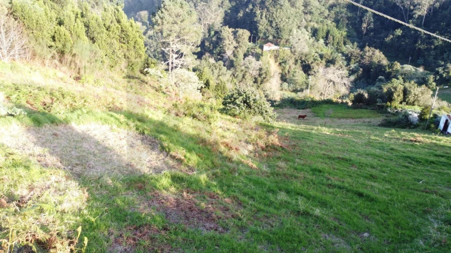 Terreno para Venda em Arco de São Jorge Foto 10
