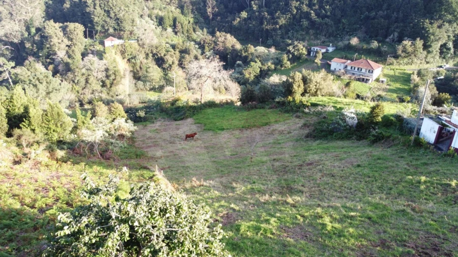 Terreno para Venda em Arco de São Jorge Foto 11