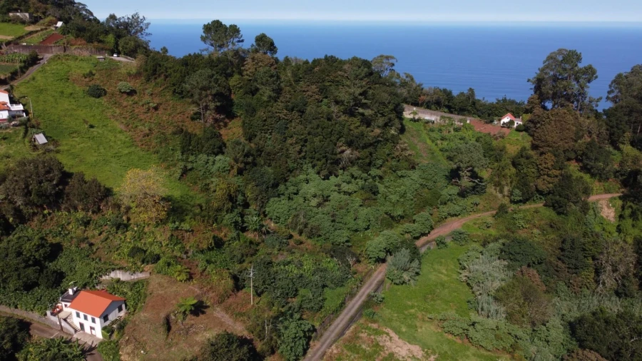 Terreno para Venda em Arco de São Jorge Foto 14