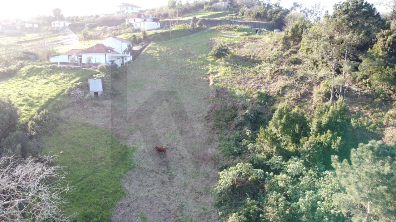 Terreno para Venda em Arco de São Jorge Foto 14