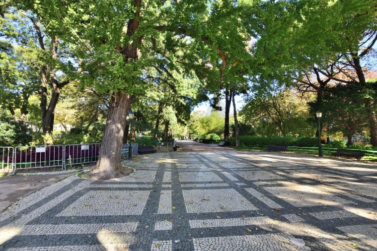 Apartamento T4 para Venda em Estrela Foto 52