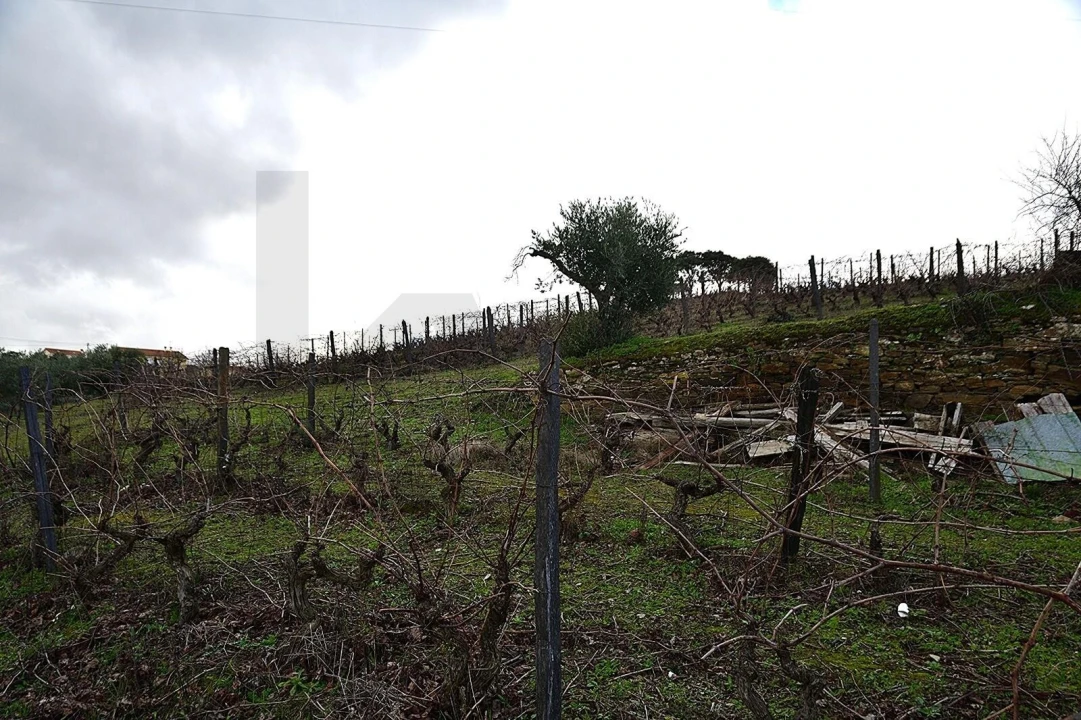 Quinta T4 para Venda em Vilarouco e Pereiros Foto 25