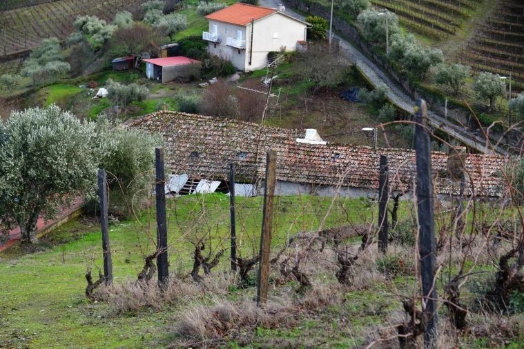 Quinta T4 para Venda em Vilarouco e Pereiros Foto 27