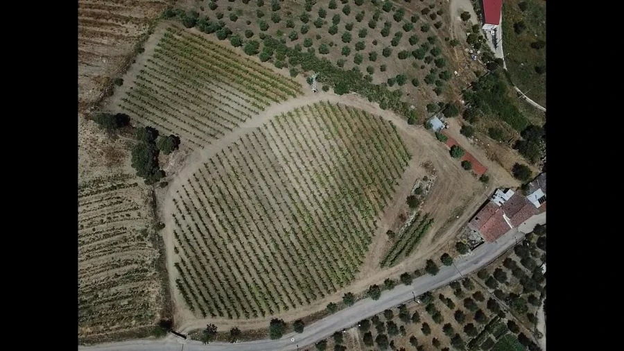 Quinta T4 para Venda em Vilarouco e Pereiros Foto 7