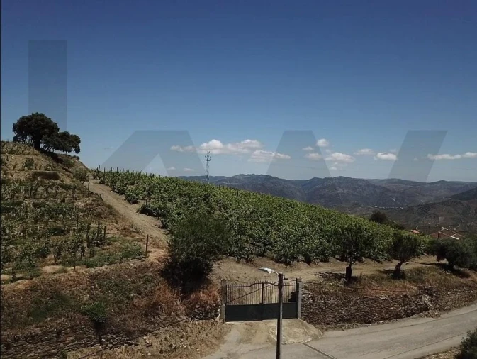 Quinta T4 para Venda em Vilarouco e Pereiros Foto 1