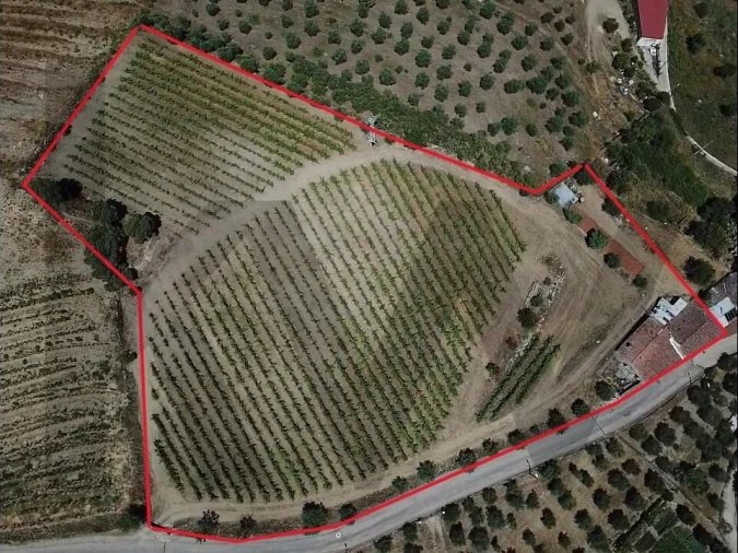 Quinta T4 para Venda em Vilarouco e Pereiros Foto 3