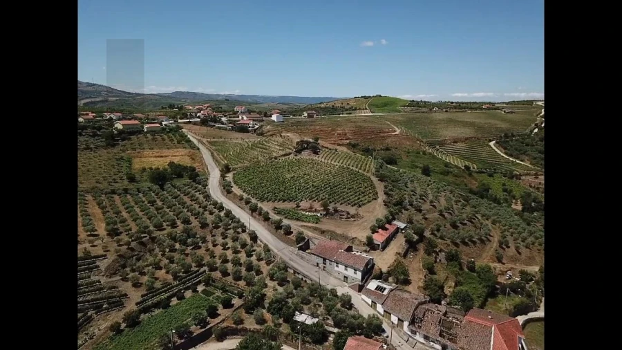Quinta T4 para Venda em Vilarouco e Pereiros Foto 2