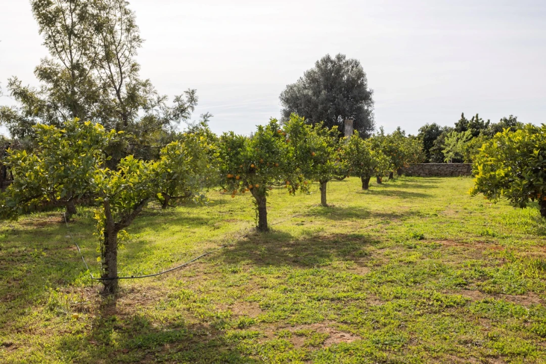 Moradia T5 para Venda em Luz de Tavira e Santo Estêvão Foto 41