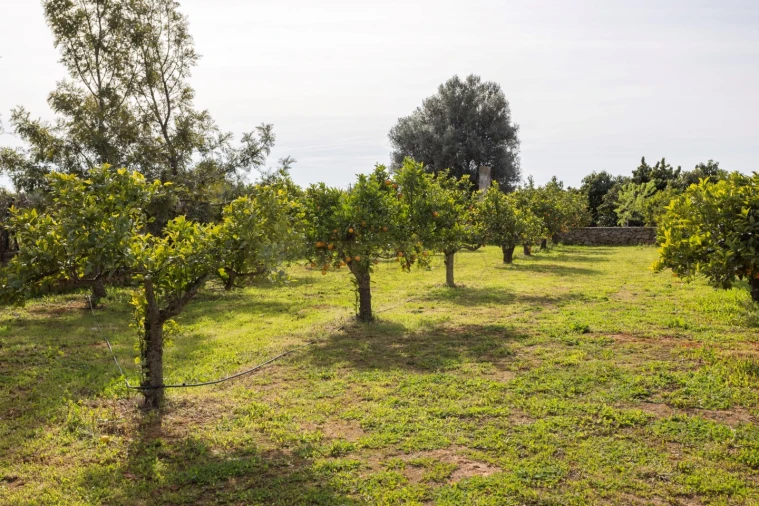 Moradia T5 para Venda em Luz de Tavira e Santo Estêvão Foto 41