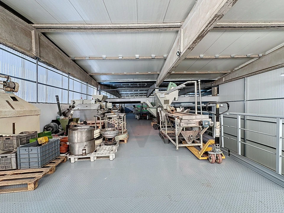 Armazém para Venda em São João de Ver Foto 3