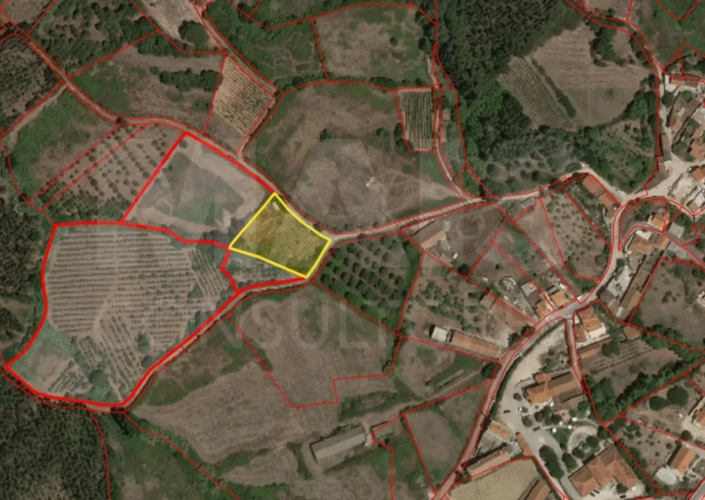 Terreno para Venda em Lamas e Cercal Foto 3