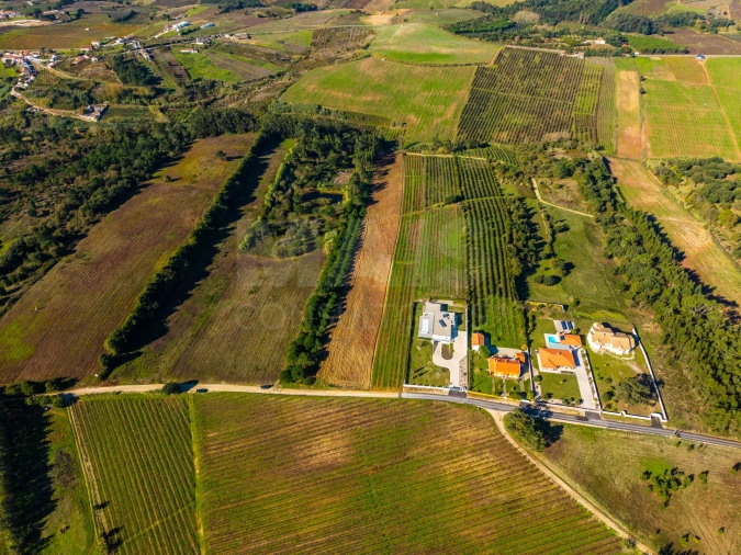 Terreno para Venda em Carvalhal Foto 5