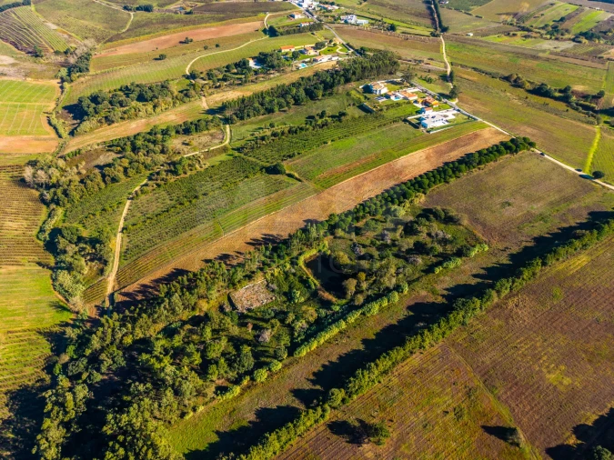Terreno para Venda em Carvalhal Foto 6