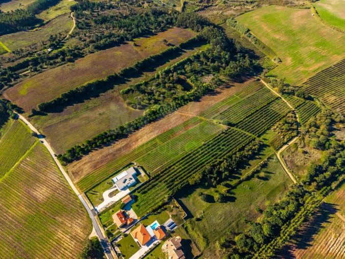 Terreno para Venda em Carvalhal Foto 7