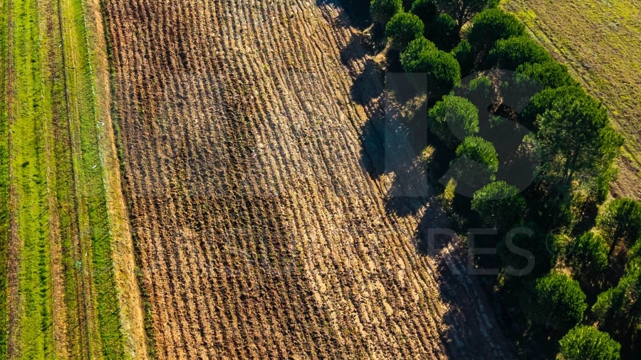 Terreno para Venda em Carvalhal