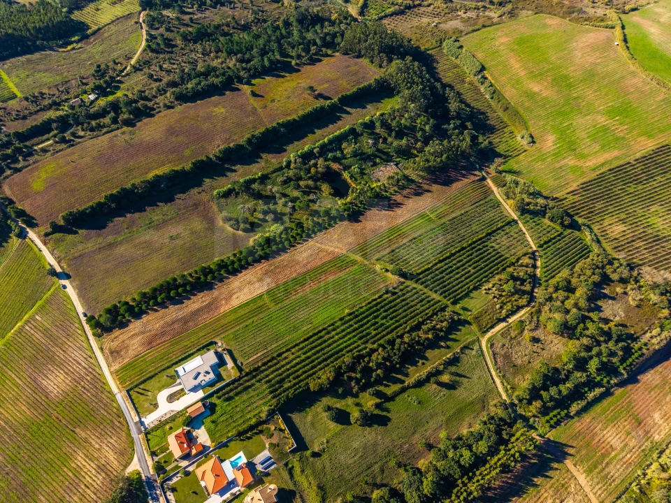 Terreno para Venda em Carvalhal Foto 2