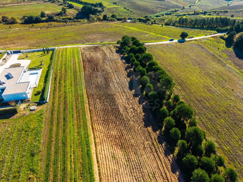 Terreno para Venda em Carvalhal Foto 3