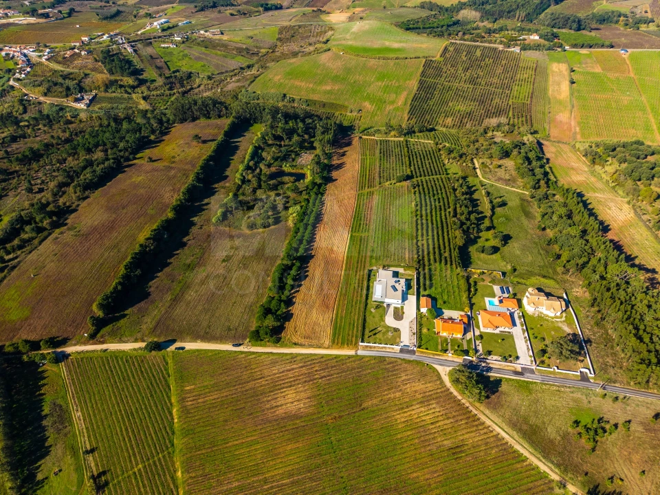 Terreno para Venda em Carvalhal Foto 5