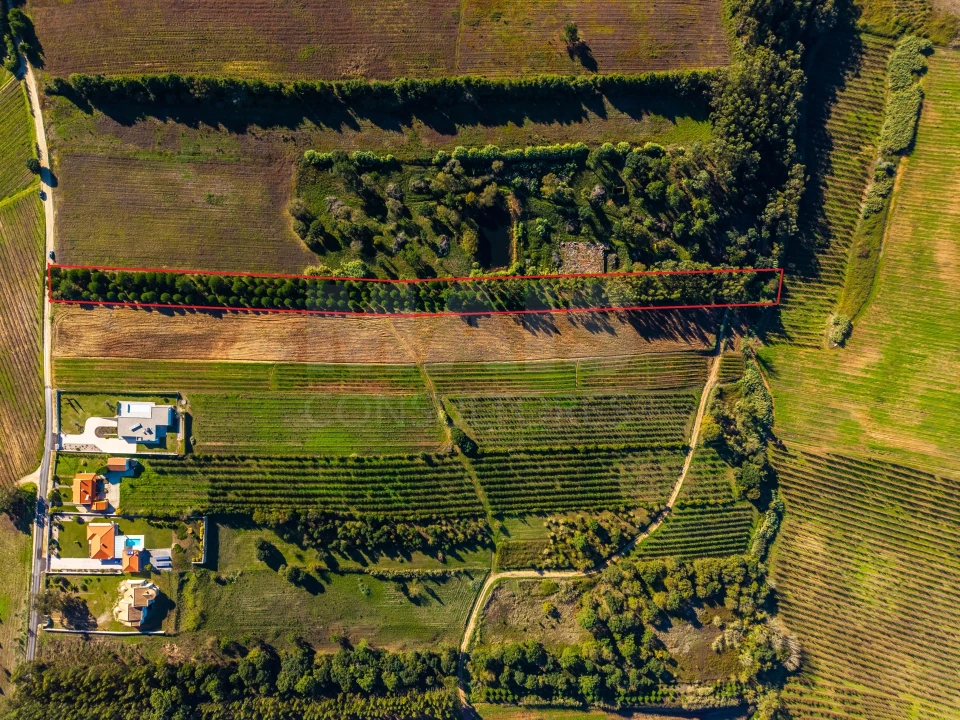 Terreno para Venda em Carvalhal Foto 1