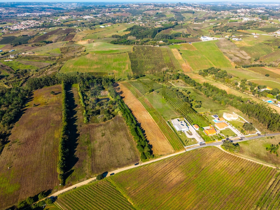 Terreno para Venda em Carvalhal Foto 9
