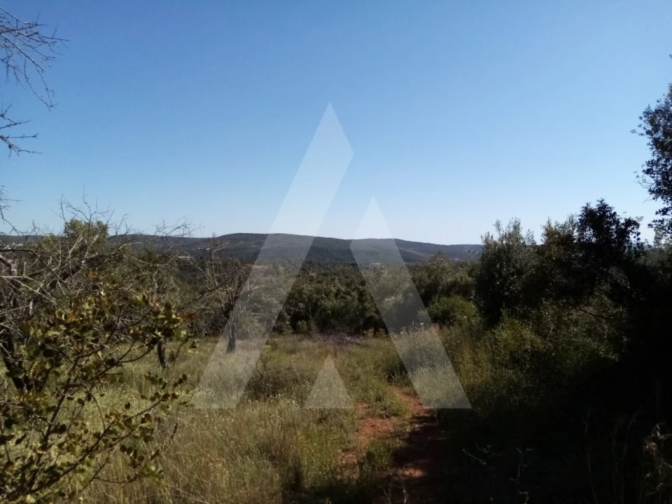 Terreno Misto para Venda em Querença, Tôr e Benafim Foto 1
