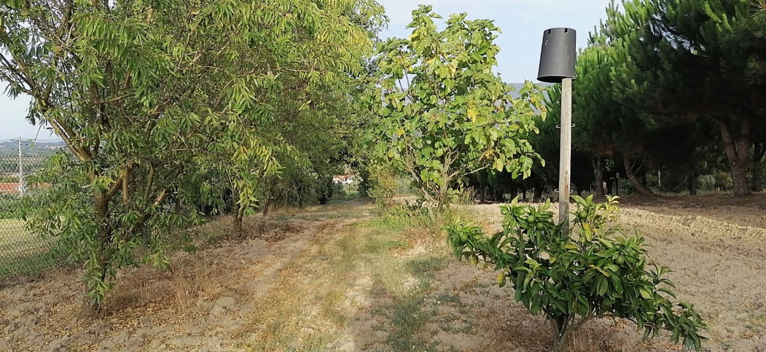 Terreno para Venda em Rio Torto e Lagarinhos Foto 26
