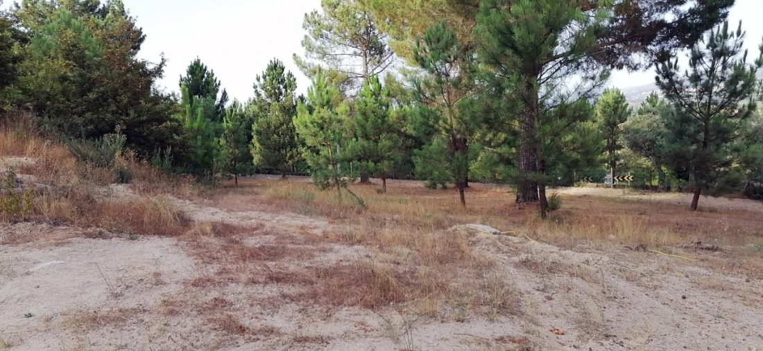 Terreno para Venda em Rio Torto e Lagarinhos Foto 17