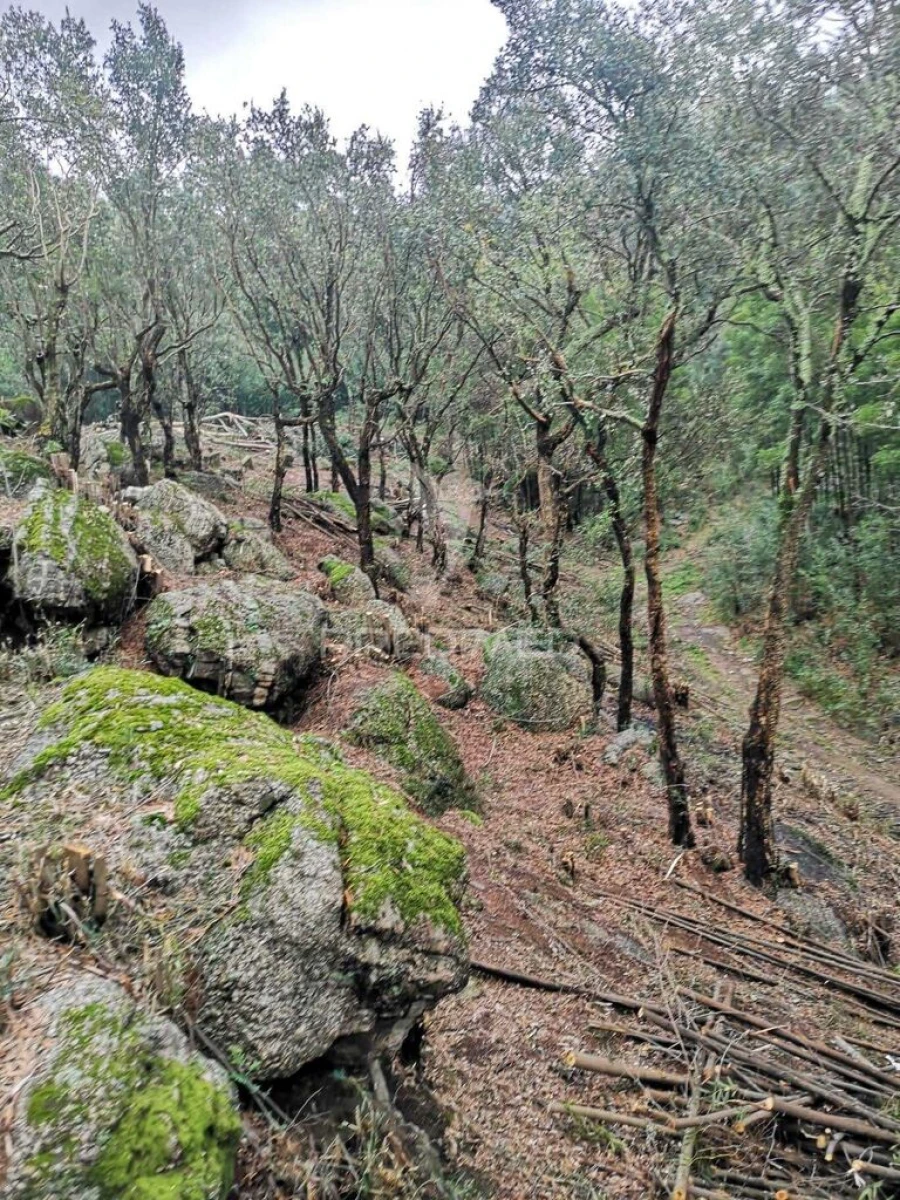 Terreno para Venda em Água Longa Foto 7