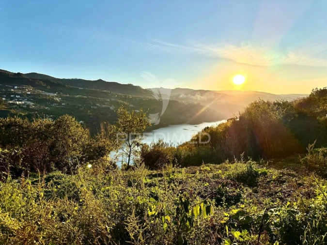 Moradia T3 para Venda em Santa Cruz do Douro e São Tomé de Covelas Foto 7