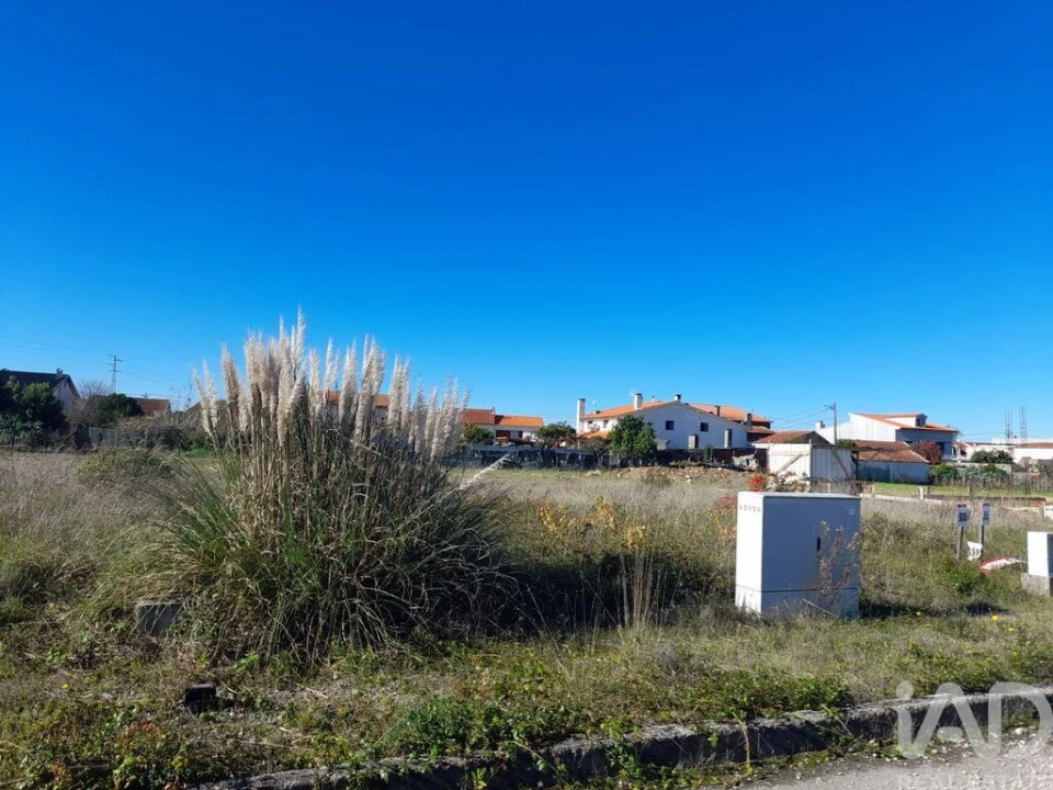 Terreno para Venda em Cantanhede e Pocariça Foto 2