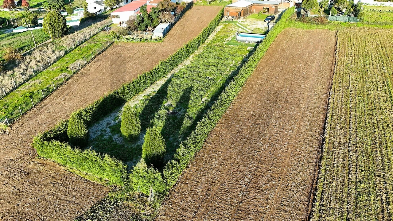 Terreno para Venda em Valega Foto 38