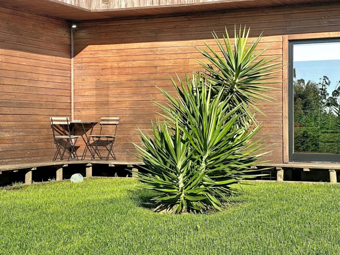 Terreno para Venda em Valega Foto 4