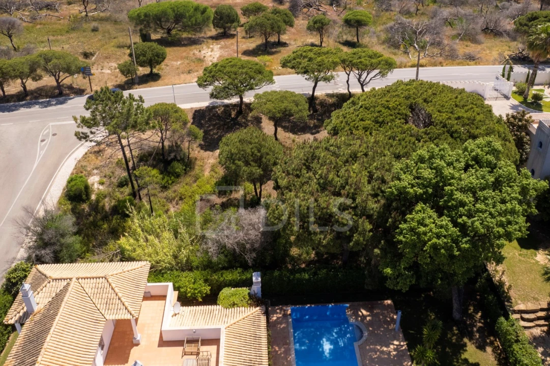 Terreno para Venda em Almancil Foto 7