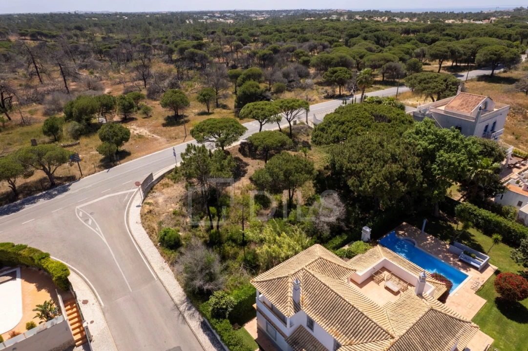 Terreno para Venda em Almancil Foto 8