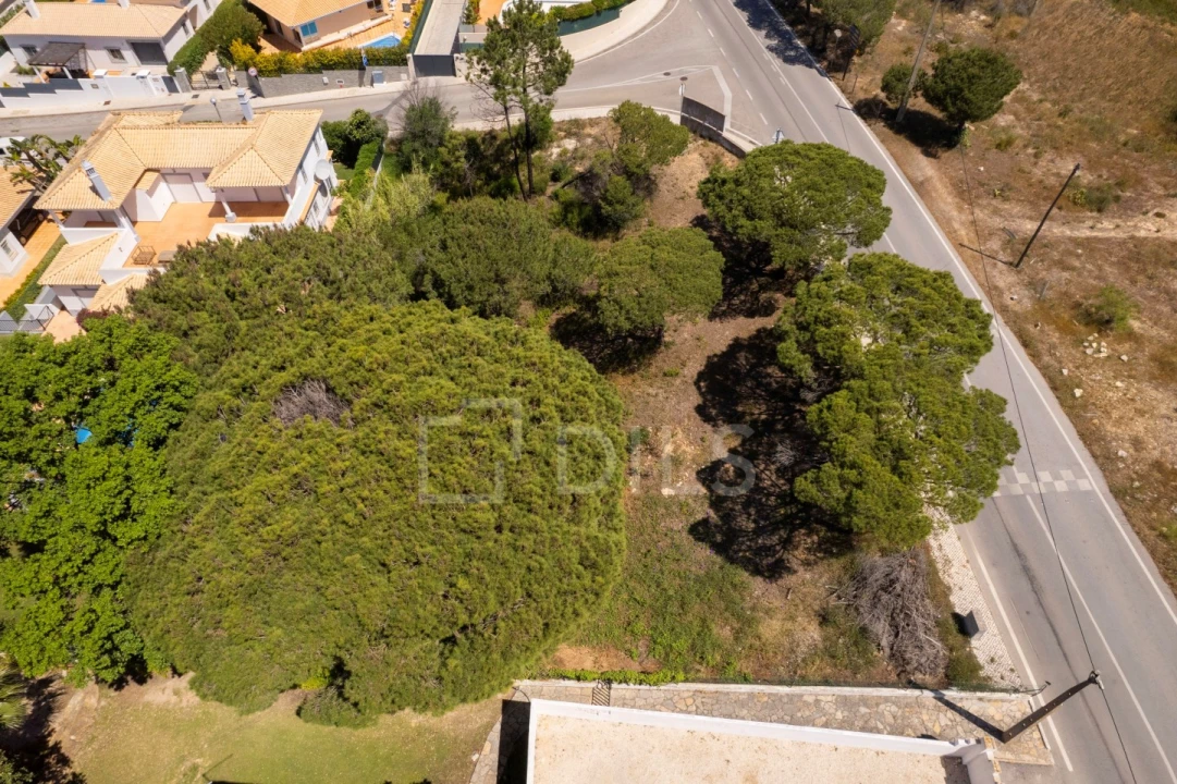 Terreno para Venda em Almancil Foto 12