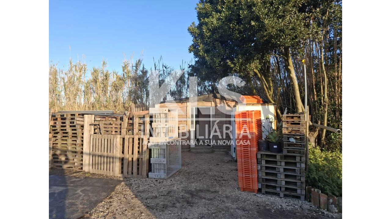 Moradia T2 para Venda em Lavos Foto 24