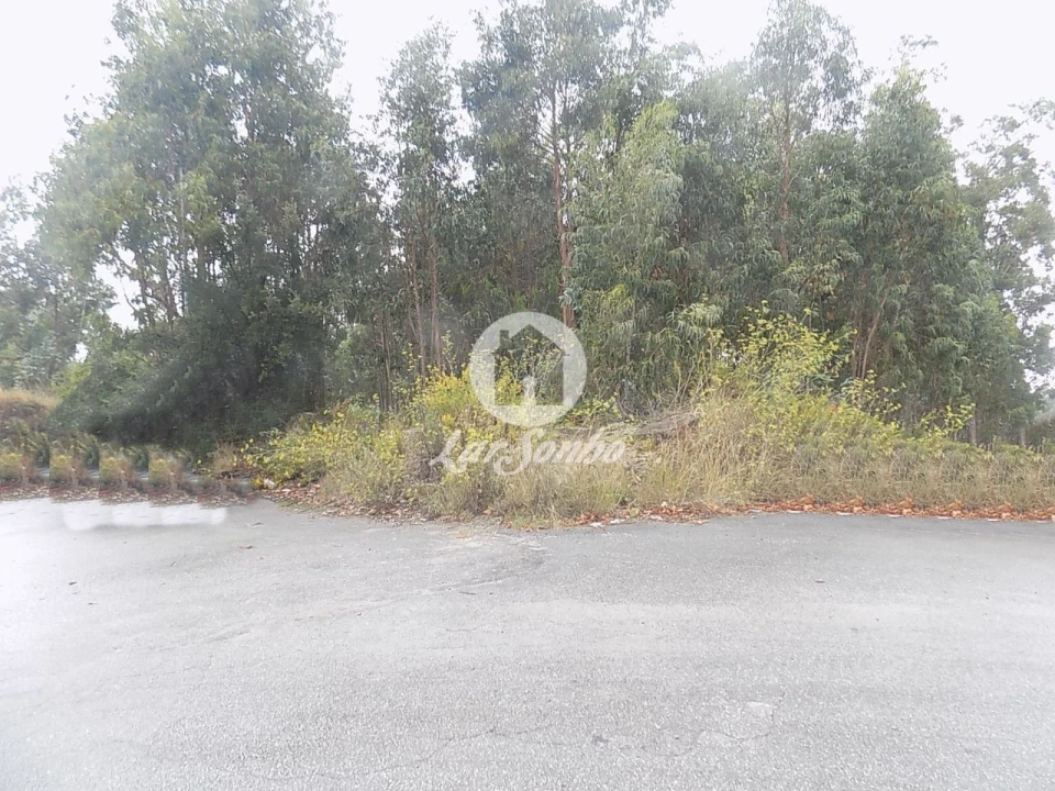 Terreno Agricola ou Rústico para Venda em Lemenhe, Mouquim e Jesufrei Foto 2