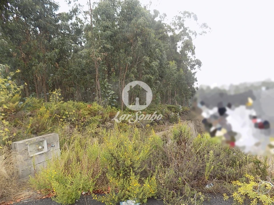 Terreno Agricola ou Rústico para Venda em Lemenhe, Mouquim e Jesufrei Foto 3