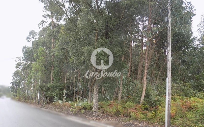 Terreno Agricola ou Rústico para Venda em Lemenhe, Mouquim e Jesufrei Foto 1