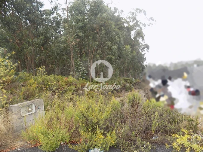 Terreno Agricola ou Rústico para Venda em Lemenhe, Mouquim e Jesufrei Foto 3