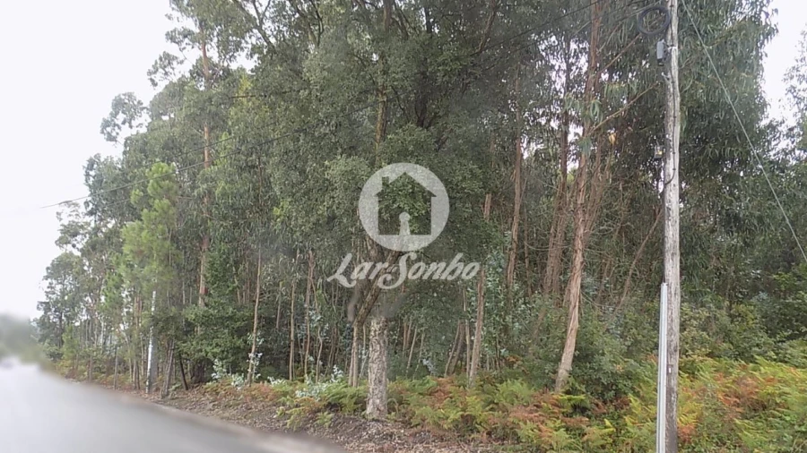 Terreno Agricola ou Rústico para Venda em Lemenhe, Mouquim e Jesufrei