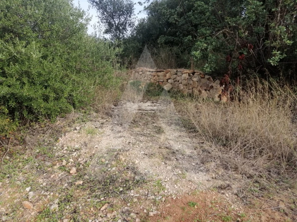 Terreno Agricola ou Rústico para Venda em Loule (São Sebastião) Foto 6