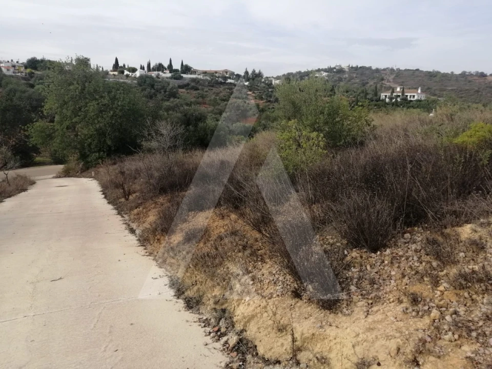 Terreno Agricola ou Rústico para Venda em Loule (São Sebastião) Foto 15