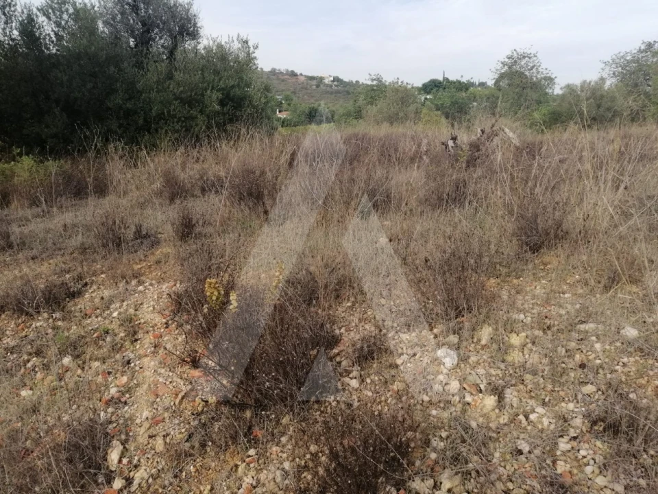 Terreno Agricola ou Rústico para Venda em Loule (São Sebastião) Foto 19