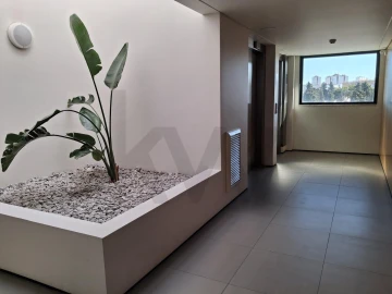 Apartamento T1 para Arrendamento em Olivais