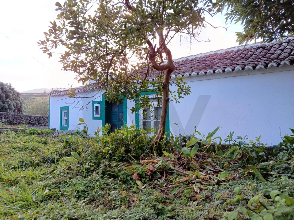 Moradia T2 para Venda em Vila Nova Foto 3