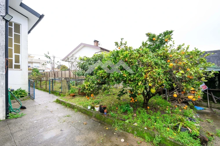 Moradia T5 para Venda em Nogueira e Silva Escura Foto 32